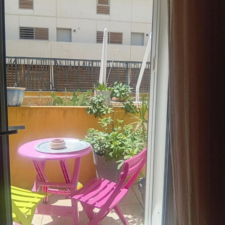 Joli appartement de centre ville - Appartement 1 Chambre Supérieur avec Balcon - 10