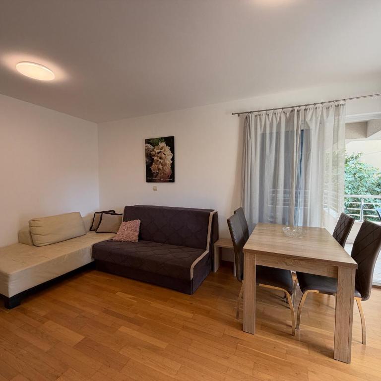 Sunday Apartment Petrovac - Apartman sa 1 Spavaćom Sobom - 6