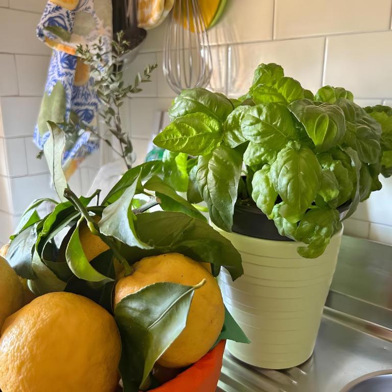 Aranceto Sorrento - Appartamento Deluxe con 2 Camere da Letto e Vista Giardino - 5