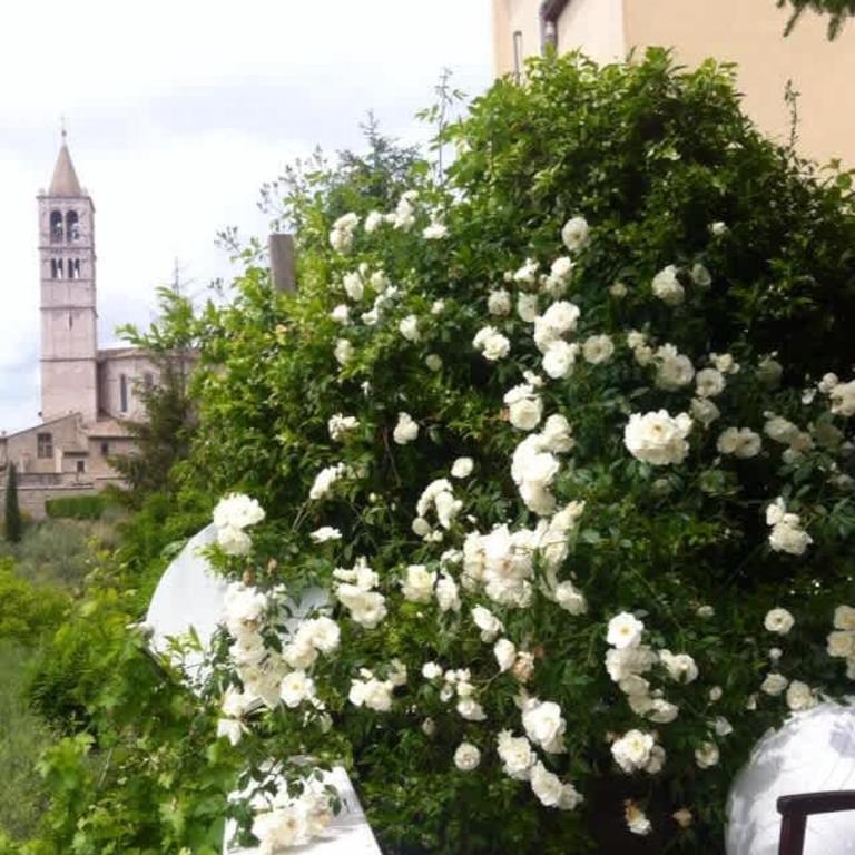 Charming Assisi Apartment - Appartamento - 7