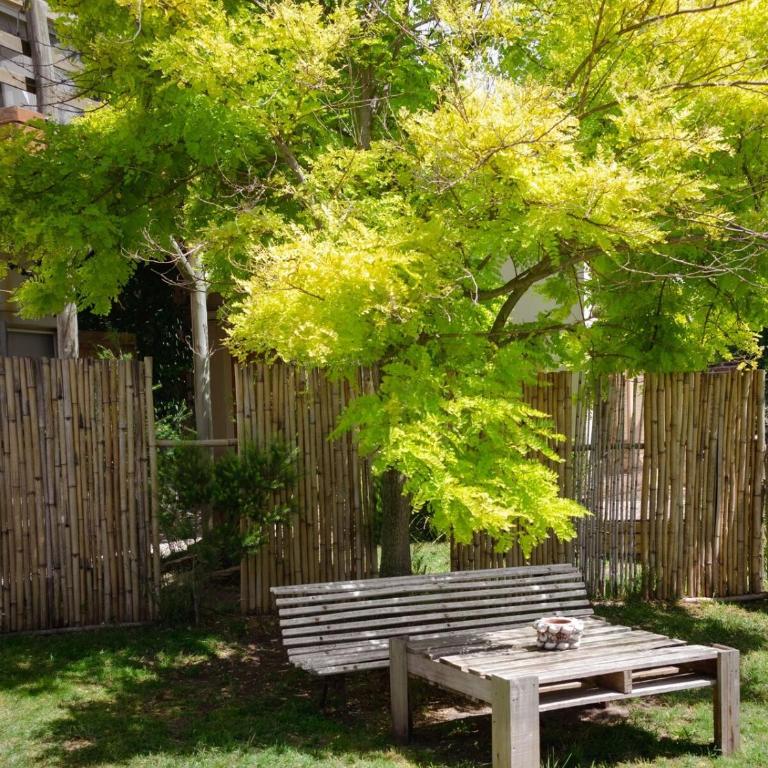 Oceanfront house I - Casa - 16