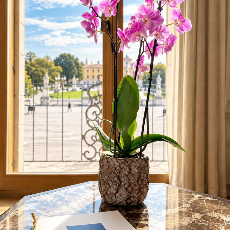 Palazzo Carpe Diem exclusive Suites in the heart of Prato della Valle - Suite con Balcone - 23