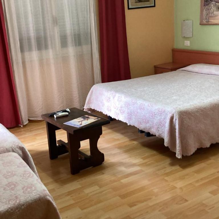 Hotel Benaco - Ampia Camera Matrimoniale/Doppia con Letti Singoli - 3