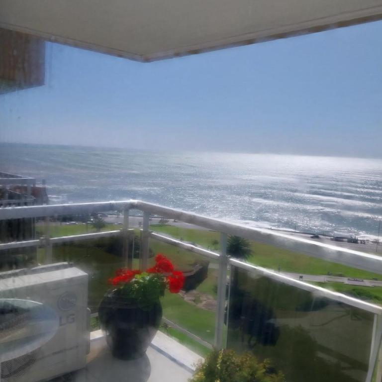 Excepcional Parque y Playa Grande - Apartamento de 1 dormitorio - 10