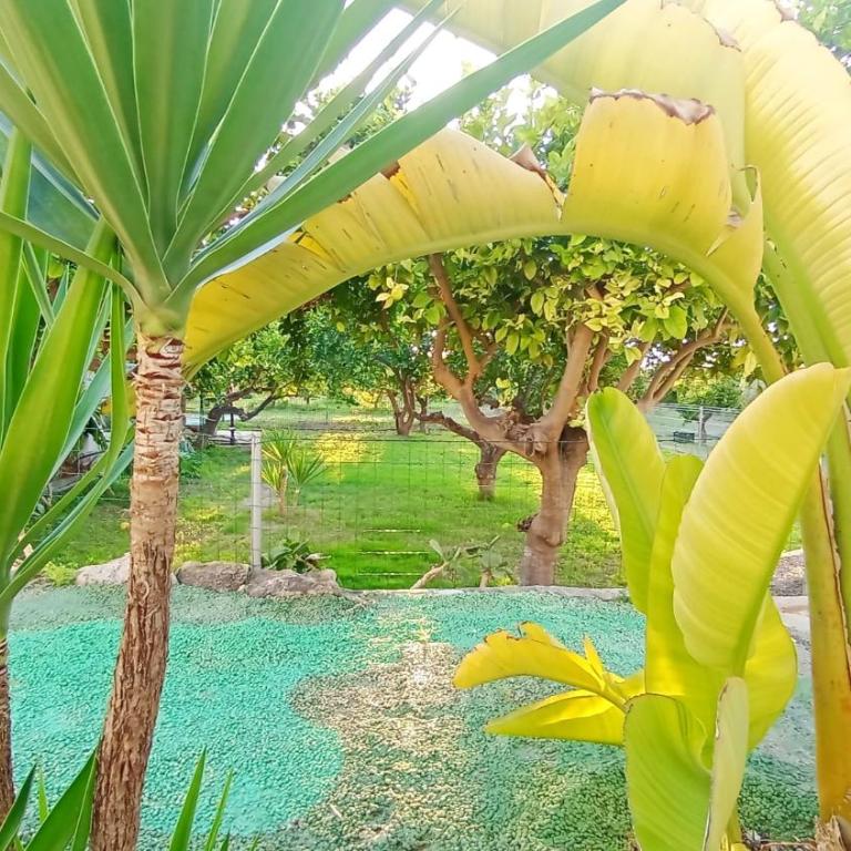 Finca el Aulagar 1 - Haus mit 2 Schlafzimmern - 7