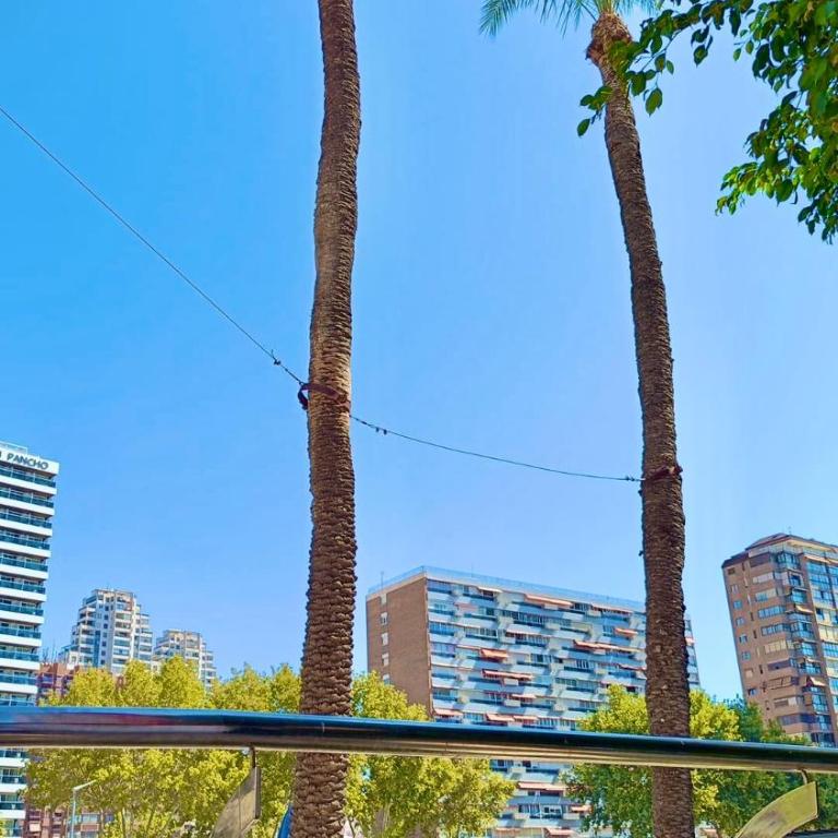 Primera Línea Benidorm, Vistas al Mar - Apartamento de 1 dormitorio - 8