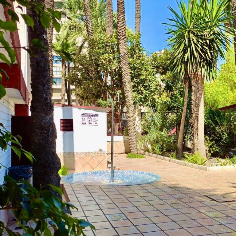 Primera Línea Benidorm, Vistas al Mar - Apartamento de 1 dormitorio - 16