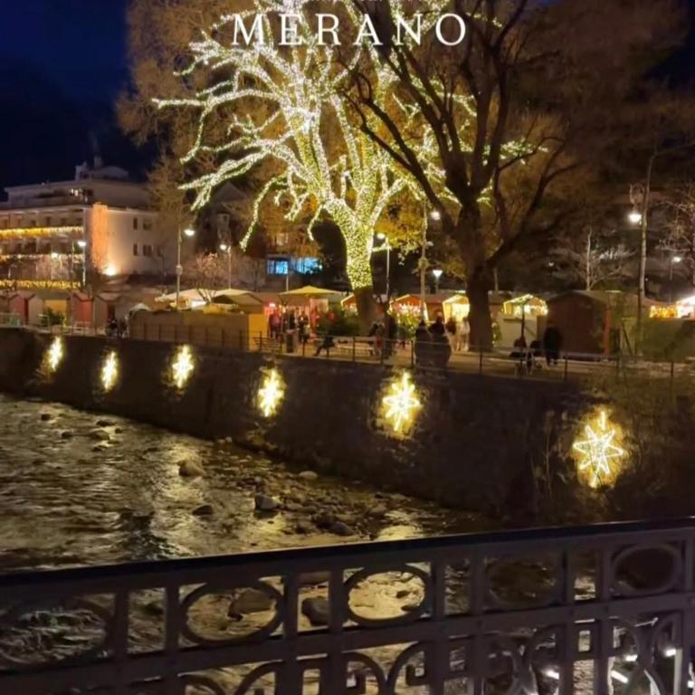 Appartamento Merano nel cuore - Apartamento de 1 dormitorio - 1