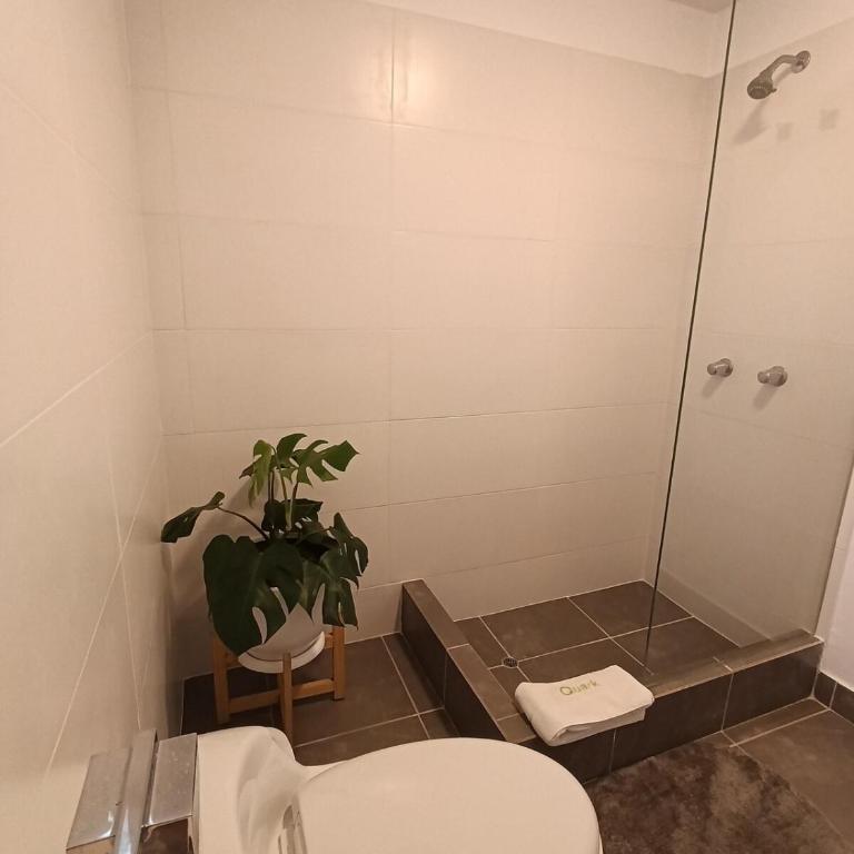 Triplex con piscina en miraflores 5 habitaciones - Apartamento - 36