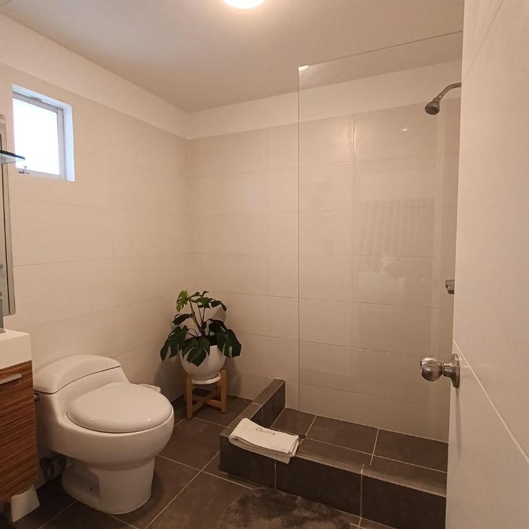 Triplex con piscina en miraflores 5 habitaciones - Apartamento - 74