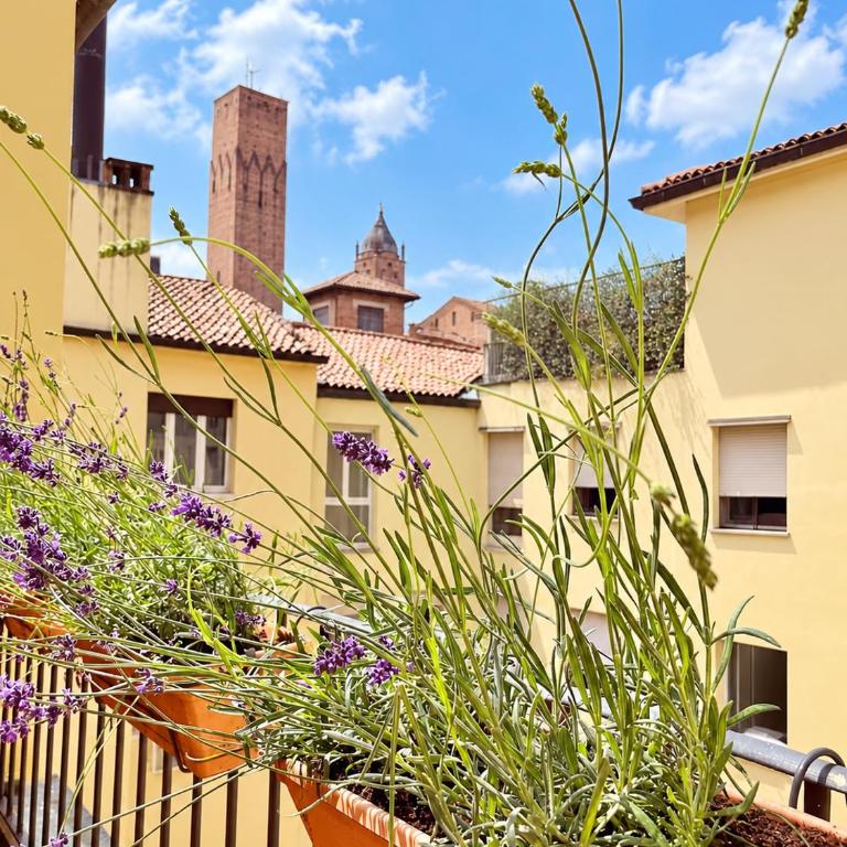 Green House Historic Centre - Two-Bedroom Apartment - 28