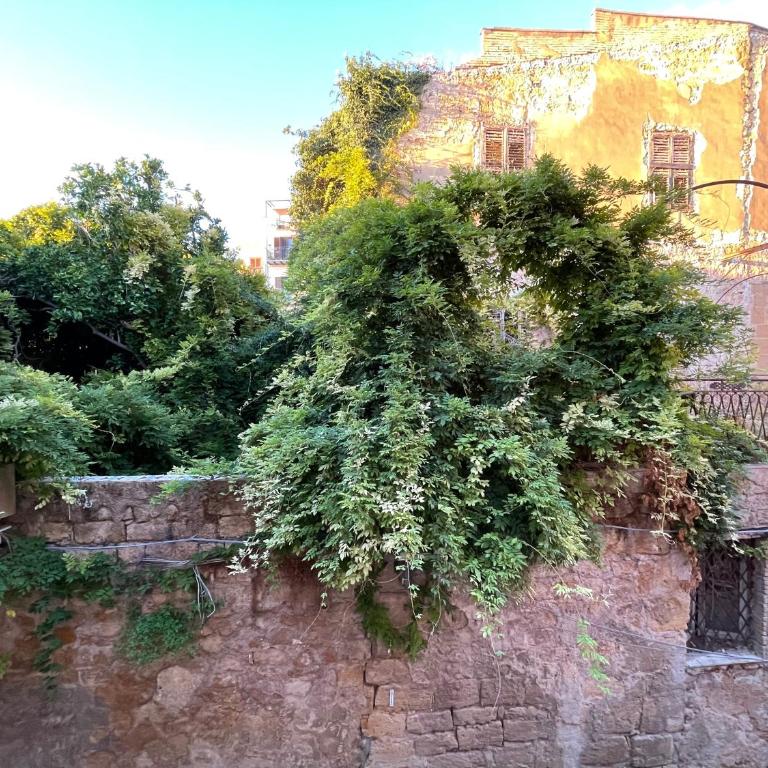 Il Glicine - Casa con 2 Camere da Letto - 20