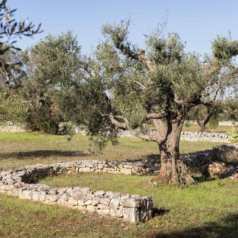Trullo Ostro by Fable Retreats - Casa Vacanze - 51