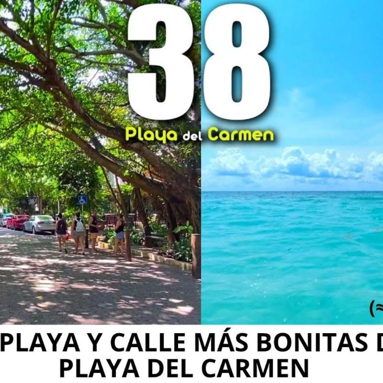 Casa 2 Niveles con 3 Albercas a 10 min de 5ta avenida y Playa - Casa de 3 dormitorios - 2
