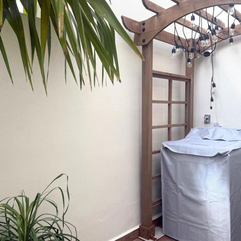 Casa 2 Niveles con 3 Albercas a 10 min de 5ta avenida y Playa - Casa de 3 dormitorios - 20