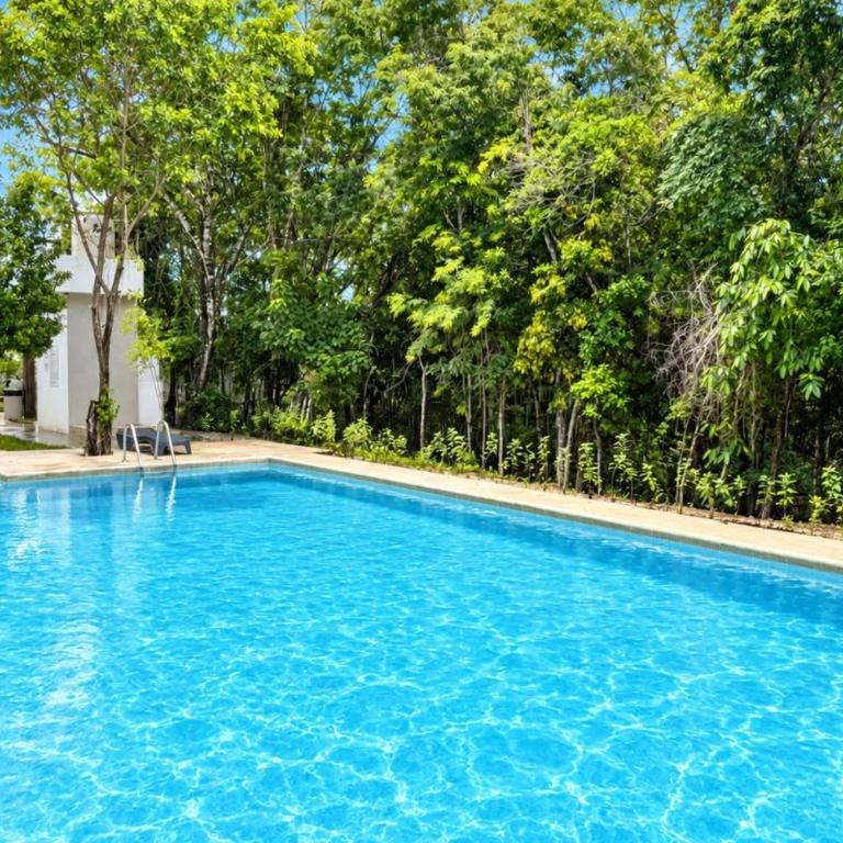 Casa 2 Niveles con 3 Albercas a 10 min de 5ta avenida y Playa - Casa de 3 dormitorios - 32