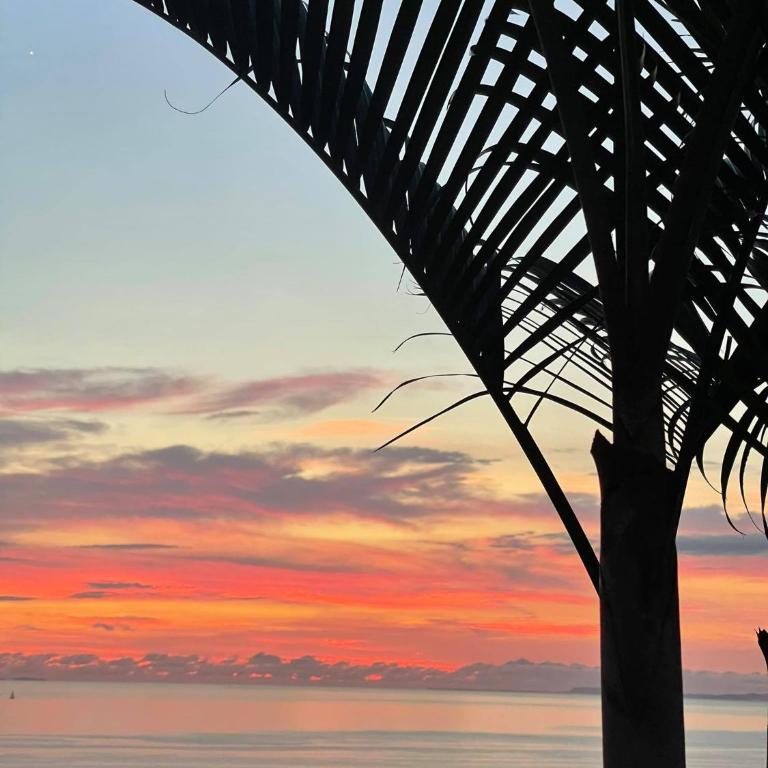 Sunset condo ocean view Romantic Zone - Apartment mit 1 Schlafzimmer - 3
