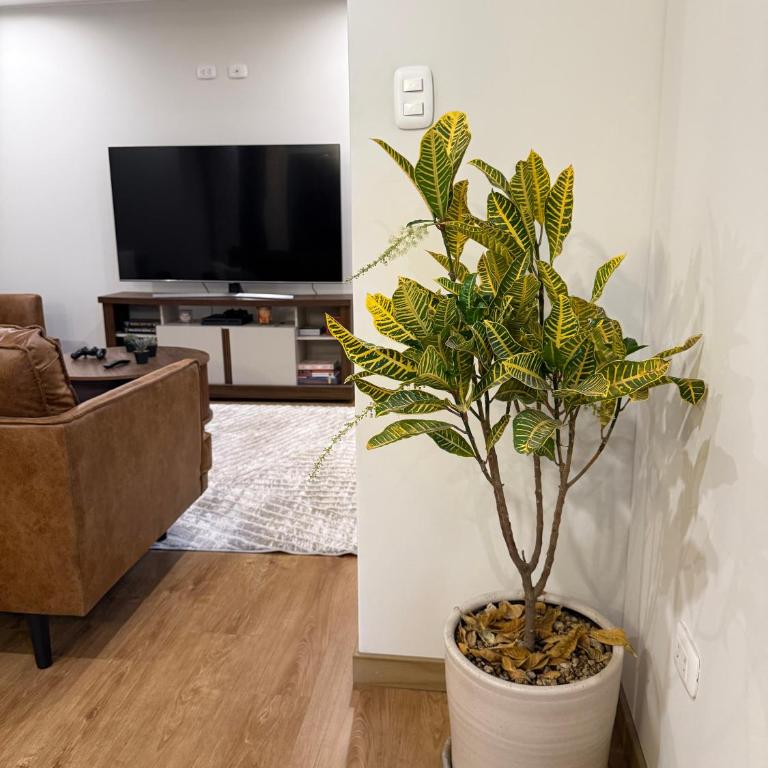 Cozy, Spacious & Convenient Apartment - Two-Bedroom Apartment - 2