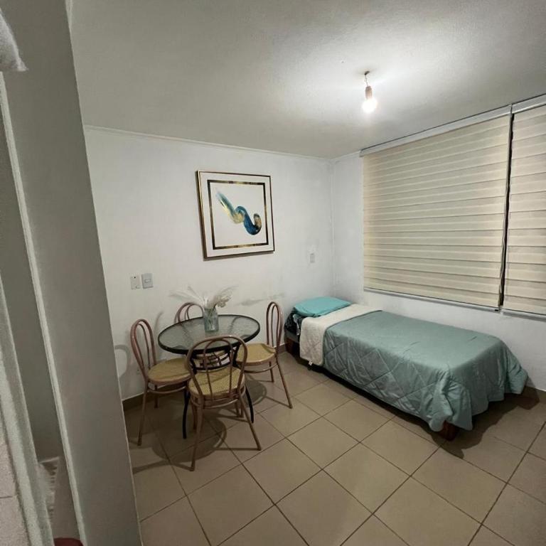 Paz alojamientos - Apartamento de 1 dormitorio - 8