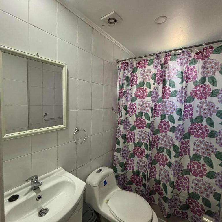 Cabañas Teja Sur - Apartamento de 1 dormitorio - 7