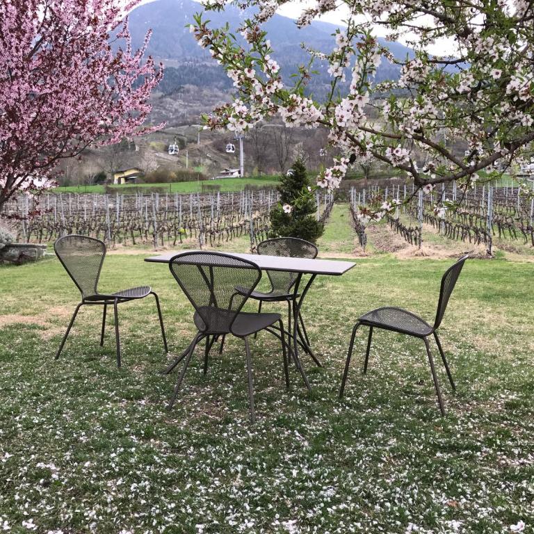 Chez Pépé Louis - Appartamento con Vista Montagna - 2