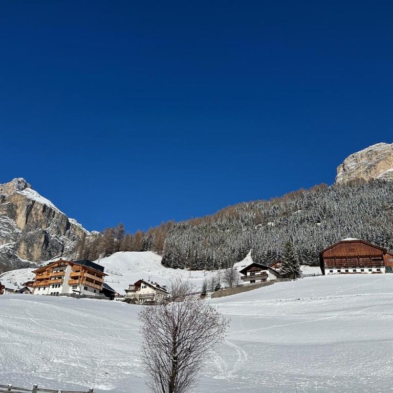 Mountain Vibes Colfosco - Apartamento de 1 dormitorio - 23