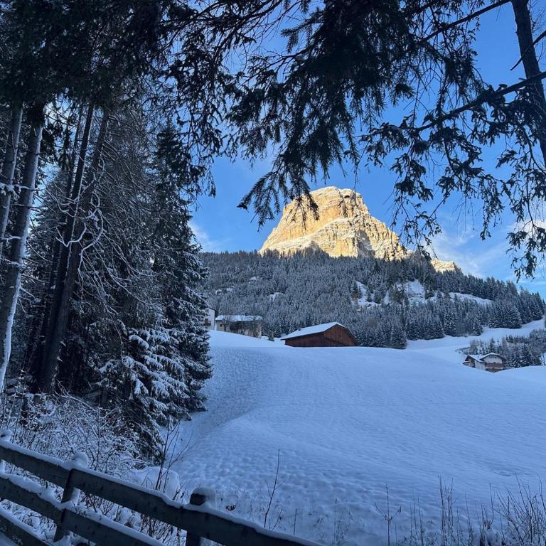 Mountain Vibes Colfosco - Apartamento de 1 dormitorio - 22