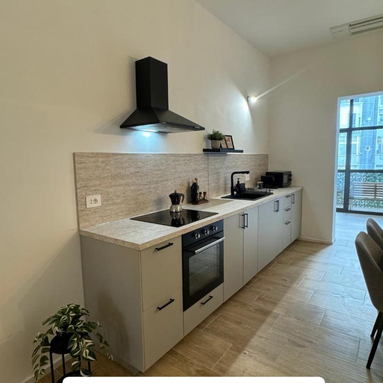 Spacious 4 room apartment, 8min walk to old town, free parking, all new - Two-Bedroom Apartment - 14