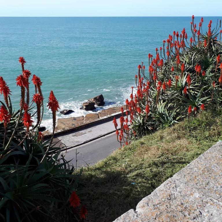 Mar del Plata 2 ambientes en La Perla - Apartamento de 1 dormitorio - 24