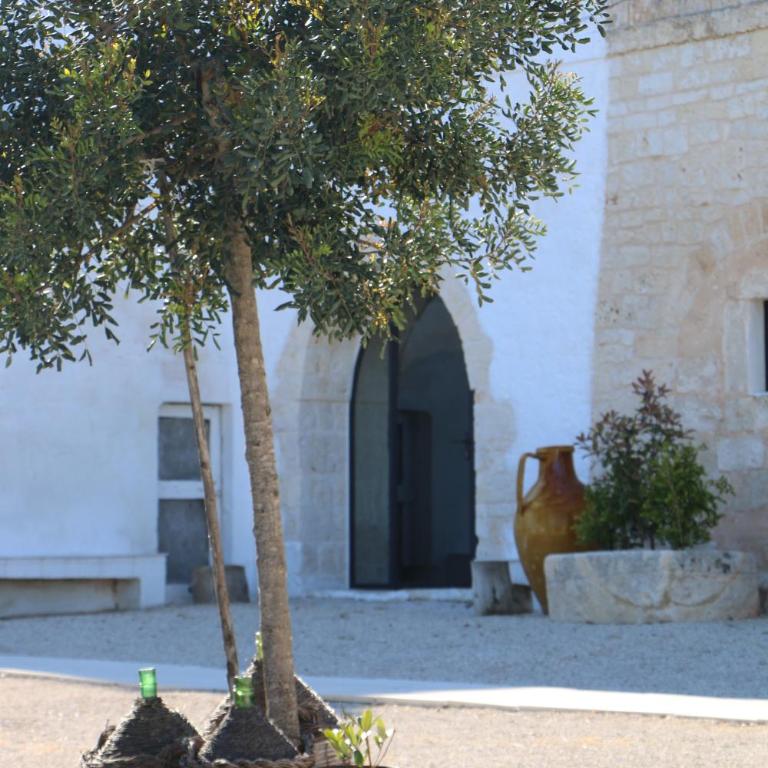 Antica Masseria San Benedetto - Casa con 4 camere da letto - 16