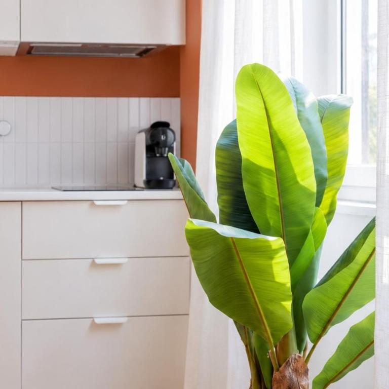 Cantoni 4B - Studio at Colosseum - Apartment - 10