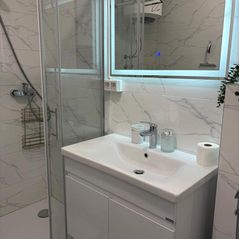 Sarajevo airport apartment - Apartman sa 2 Spavaće Sobe - 33