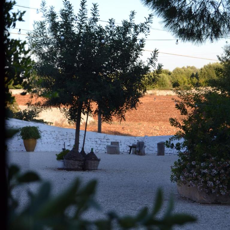 Antica Masseria San Benedetto - Casa con 4 camere da letto - 42