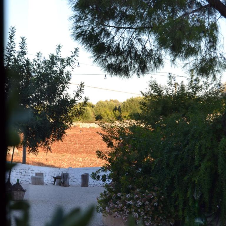 Antica Masseria San Benedetto - Casa con 4 camere da letto - 47