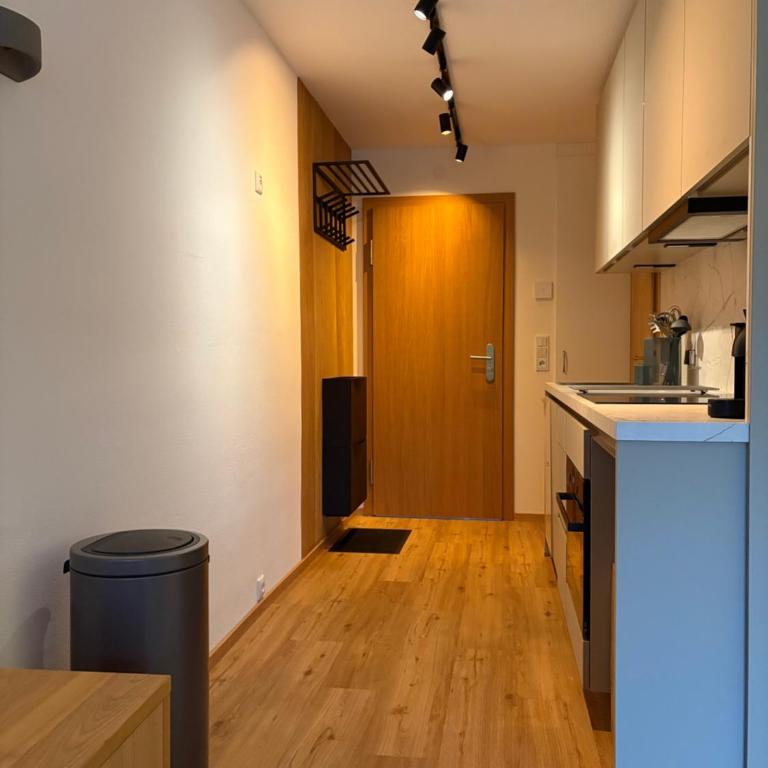 Alpen Studio Ellmau IV - Apartamento de 1 dormitorio con balcón y vistas a la montaña - 9