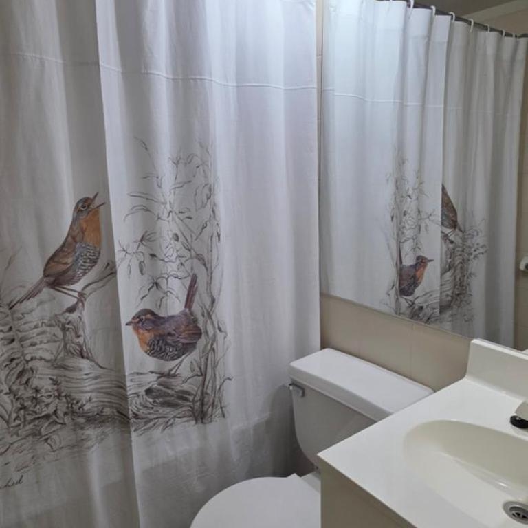 La Puntilla de Villarrica, maravilloso descanso en un entorno natural - Two-Bedroom Apartment with Lake View - 32