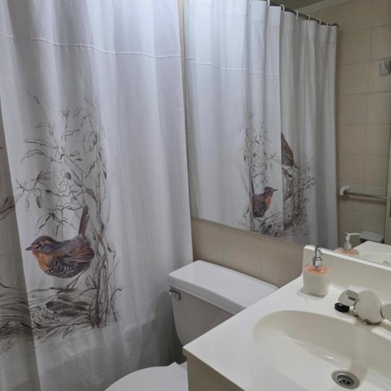 La Puntilla de Villarrica, maravilloso descanso en un entorno natural - Two-Bedroom Apartment with Lake View - 33