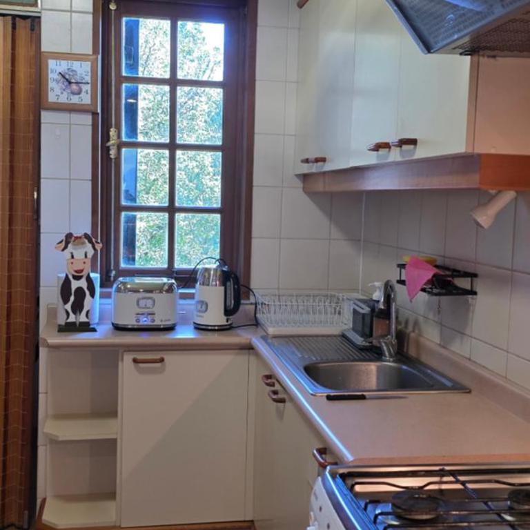 La Puntilla de Villarrica, maravilloso descanso en un entorno natural - Two-Bedroom Apartment with Lake View - 39