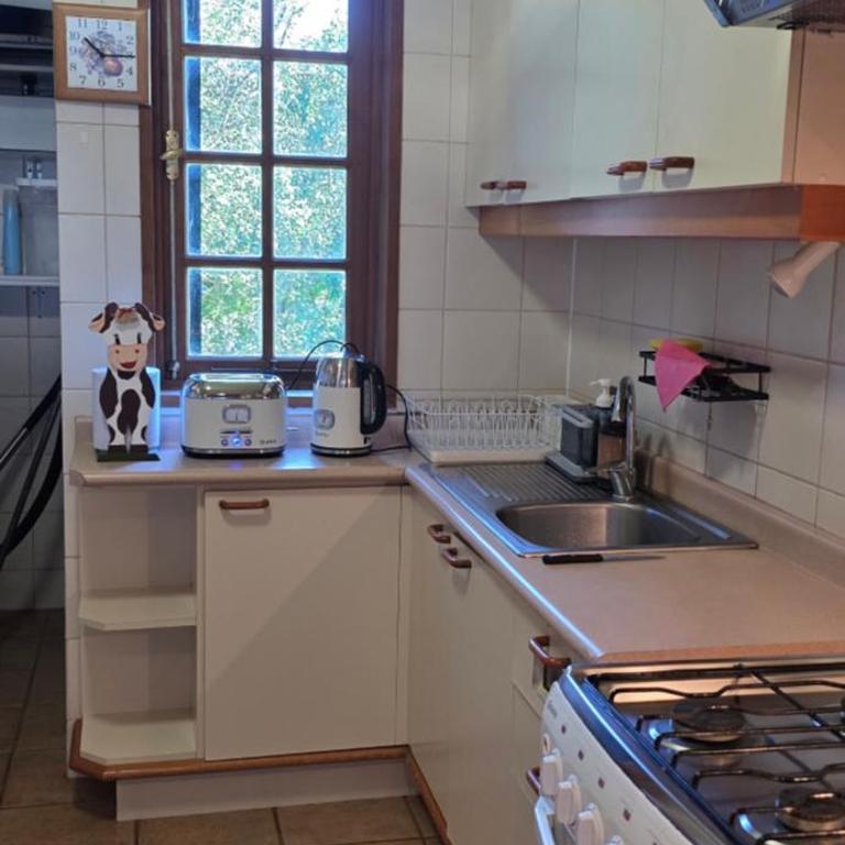 La Puntilla de Villarrica, maravilloso descanso en un entorno natural - Two-Bedroom Apartment with Lake View - 38