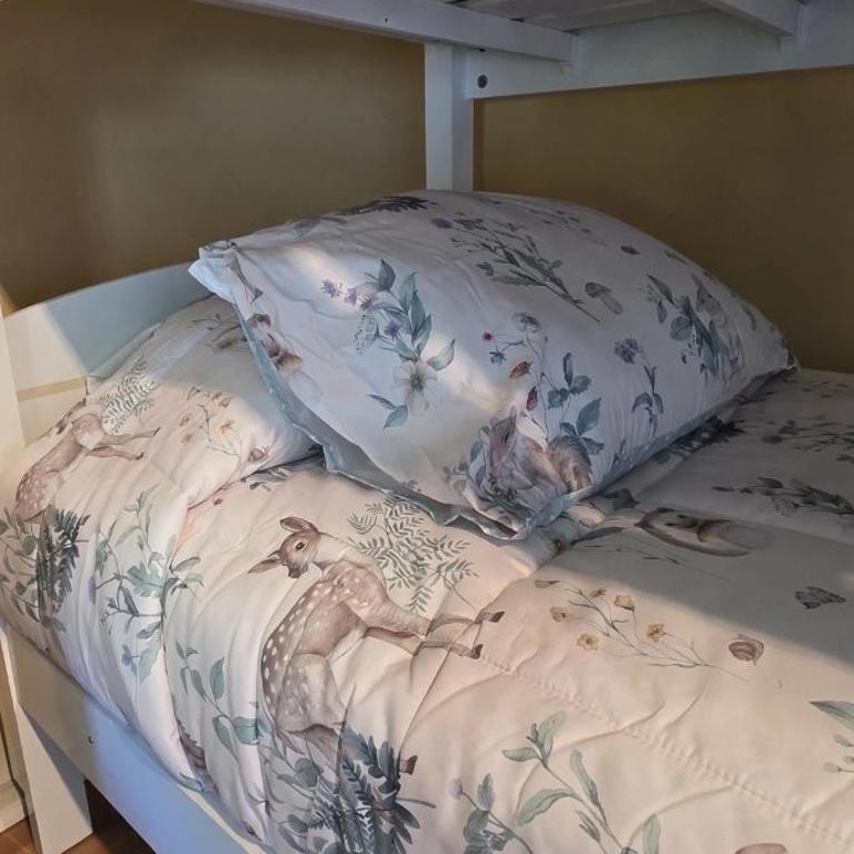 La Puntilla de Villarrica, maravilloso descanso en un entorno natural - Two-Bedroom Apartment with Lake View - 45