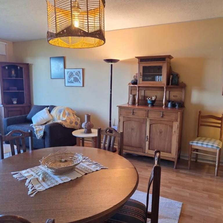 La Puntilla de Villarrica, maravilloso descanso en un entorno natural - Two-Bedroom Apartment with Lake View - 53