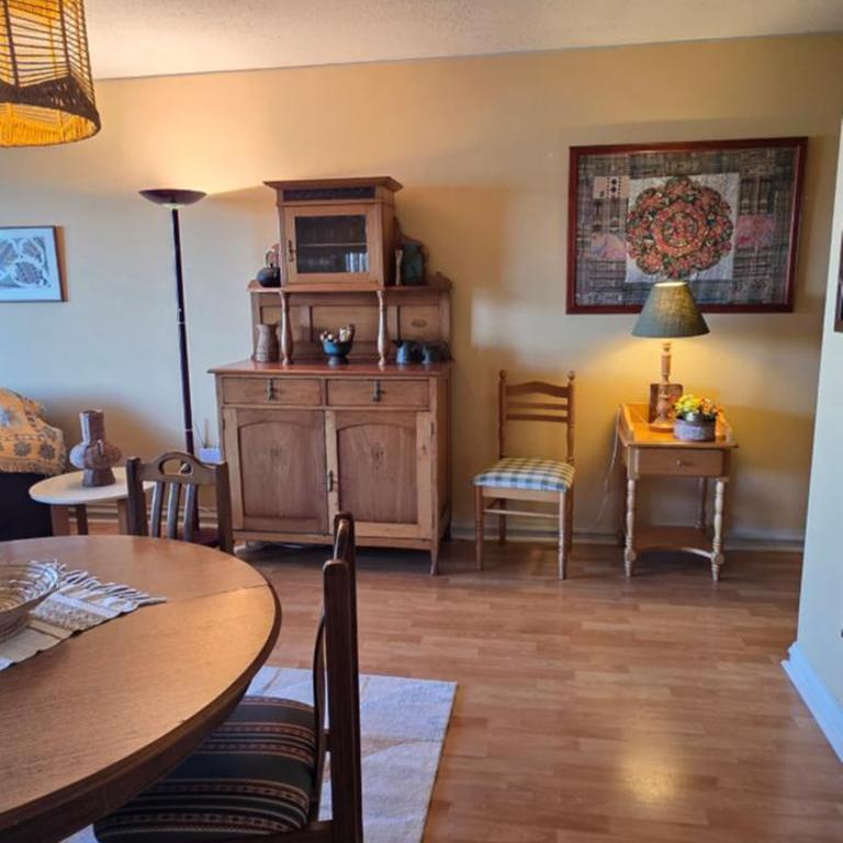 La Puntilla de Villarrica, maravilloso descanso en un entorno natural - Two-Bedroom Apartment with Lake View - 59