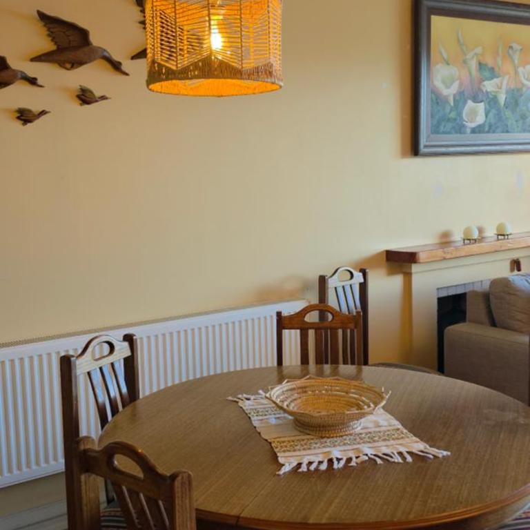 La Puntilla de Villarrica, maravilloso descanso en un entorno natural - Two-Bedroom Apartment with Lake View - 60