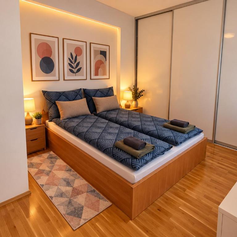LuxApart Mejtas City Centar free parking garage - Apartman sa 2 Spavaće Sobe - 16