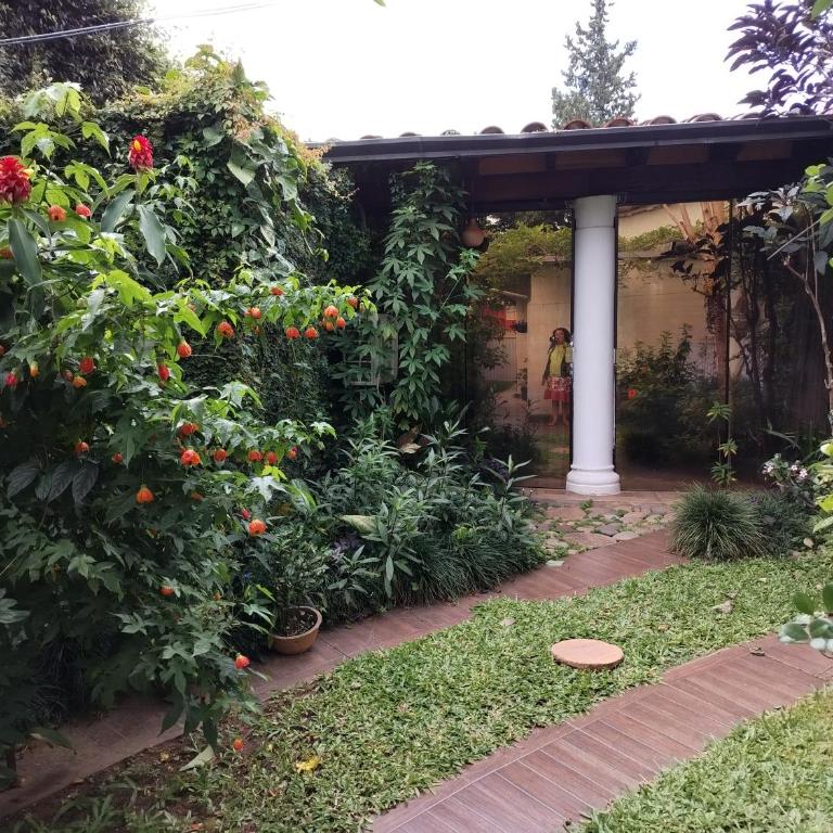 Granados Bosquesito - Habitación cuádruple - 42