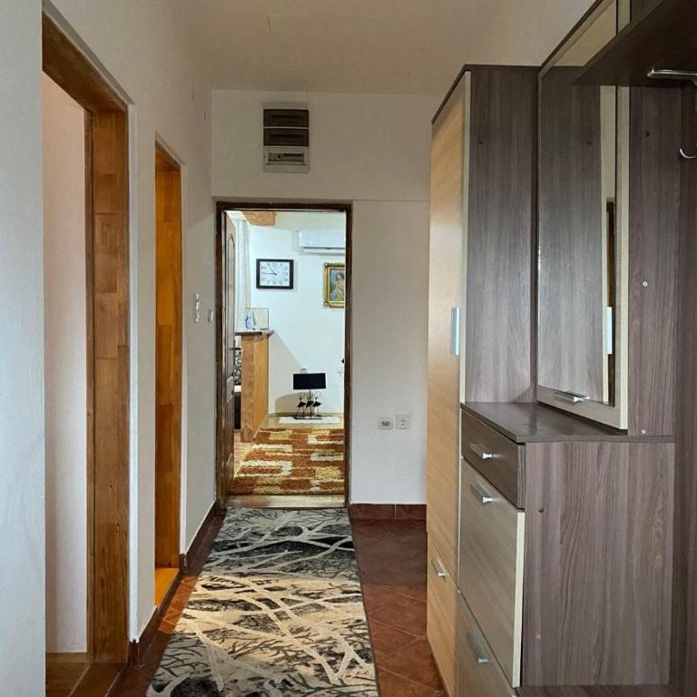 Kolasin - Apartman sa 1 Spavaćom Sobom - 3