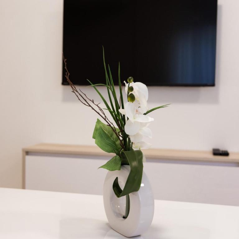 Apartmani Kajkut - Apartman - 14