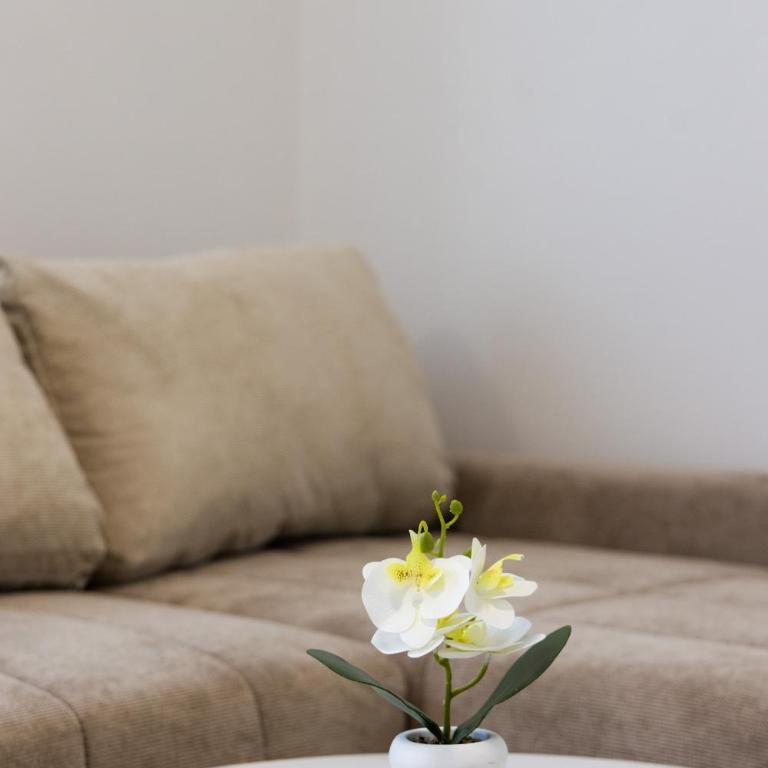 Apartmani Kajkut - Apartman - 50