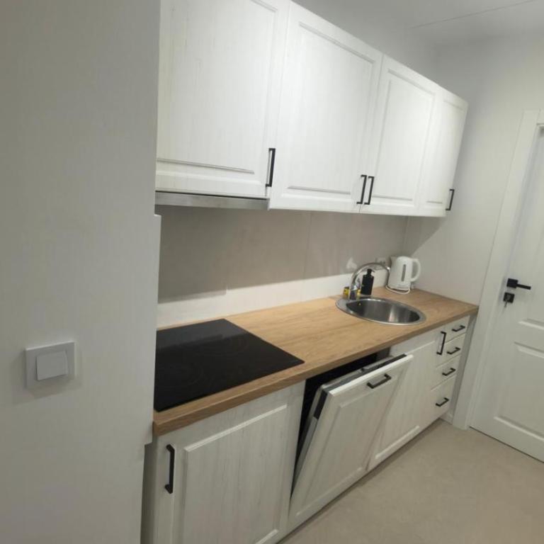 Sky View Otoka - Apartman sa 1 Spavaćom Sobom - 10