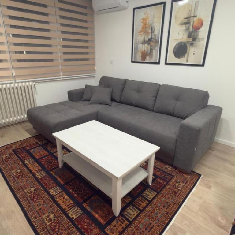 Sky View Otoka - Apartman sa 1 Spavaćom Sobom - 17